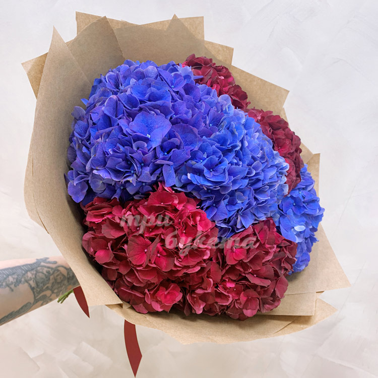 Букет из 7 гортензий