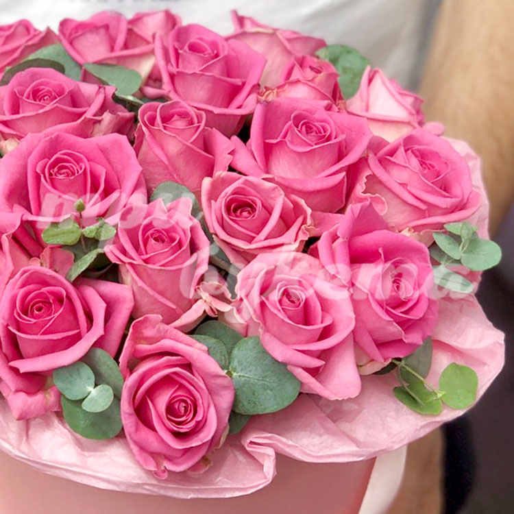 21 кенийская роза в коробке (крупный план)