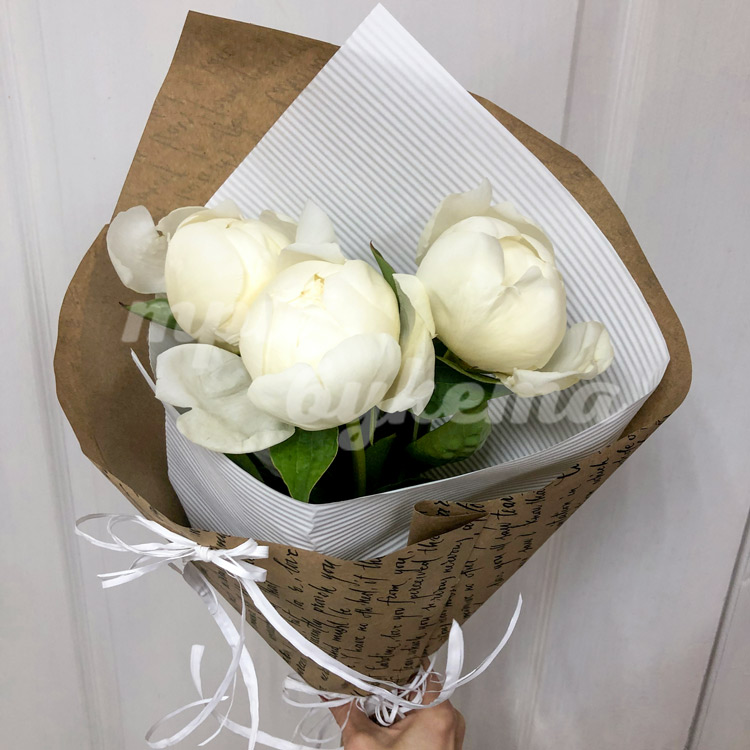 3 белых пиона Дюшес (в помещении)