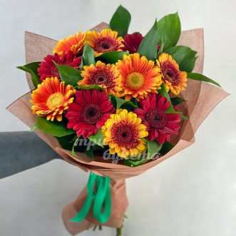 Букет из 11 оранжевых и красных гербер