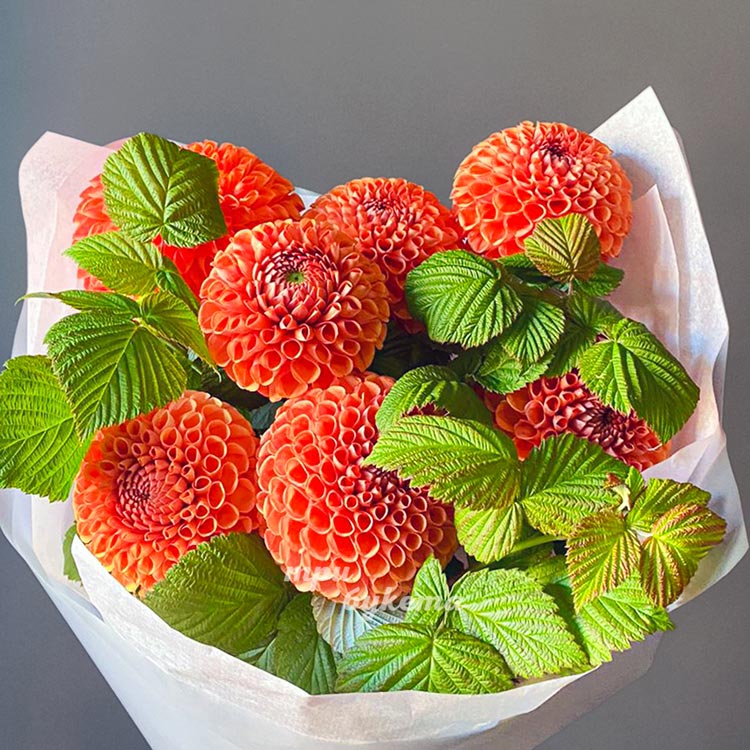 Букет ярких георгинов с малиной (крупный план)