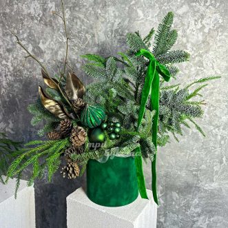 Зеленая бархатная коробка на новый год Зеленая бархатная коробка на новый год